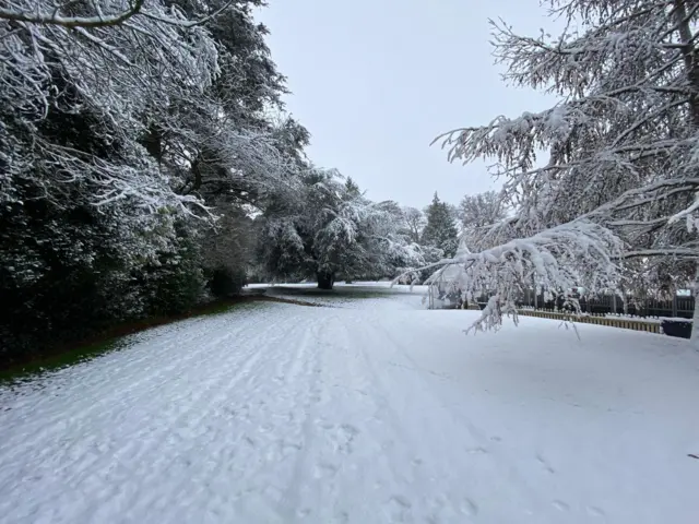 Tissington is pictured in the snow, with snow also covering trees