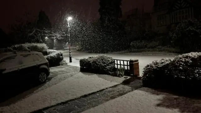 Snow in a dark street, with falling snow lit by a streetlight