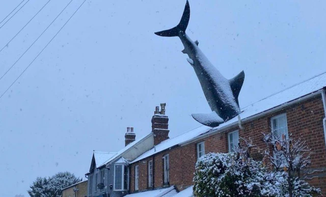 The Headington shark in Oxford dusted in snow