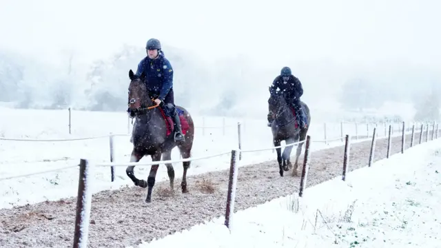 Two horses gallop with riders along a muddy path dusted with snow with heavier snow on either side. A fence is on either side of the path. The riders wear blue fleeces and helmets