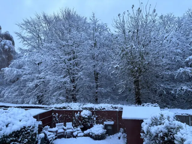 An image of a back garden showing garden furniture, a shed and trees covered in snow