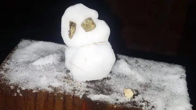 A tiny snowman