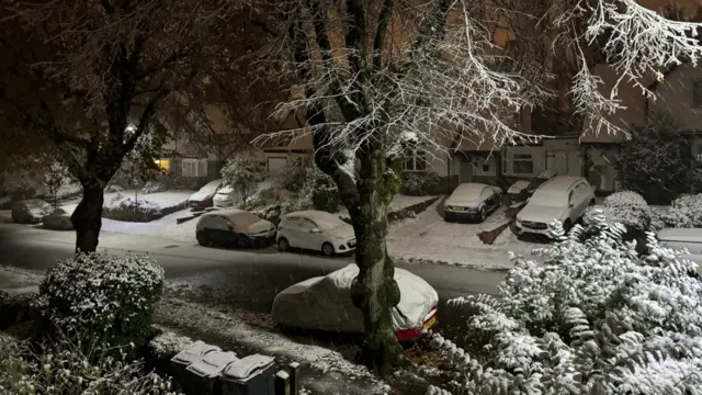 Cars covered in snow on a street with houses around them. Snow also covers trees and paths near them