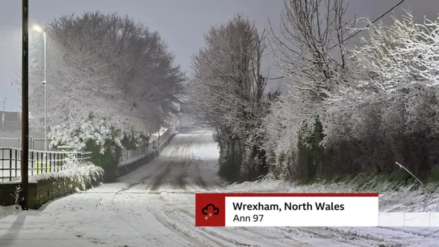 A road and trees covered in snow in Wrexham, North Wales.