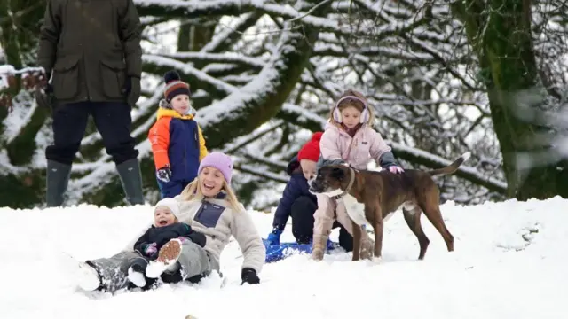 A family and a dog enjoy the snow, sledging down a hill