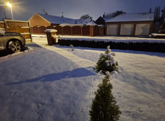 A driveway with two small evergreen trees covered in snow