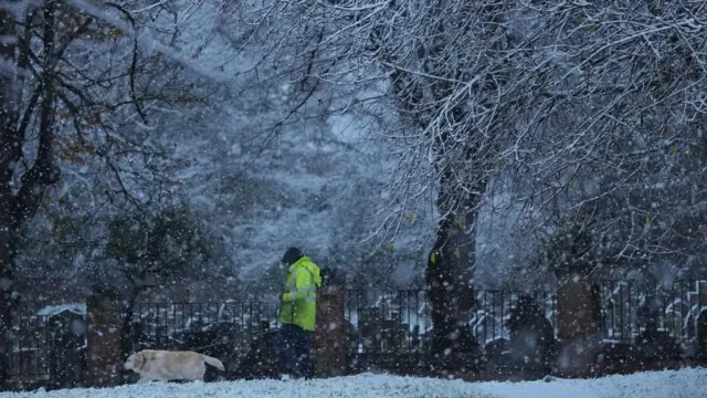 A person walks their dog through snow in Warwick