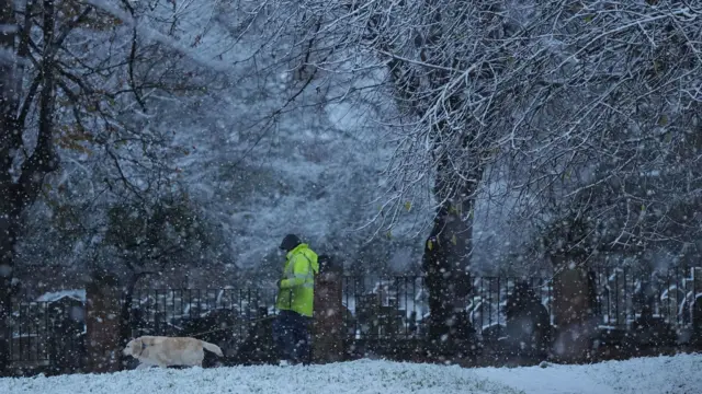 A person walks a golden-coloured dog through snow in Warwick