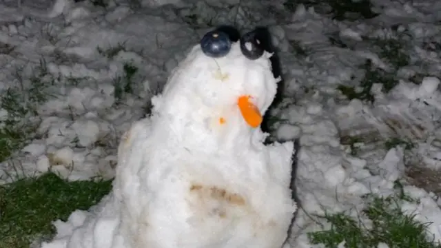 A snowman