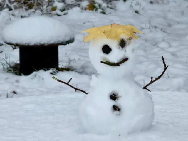 A snowman