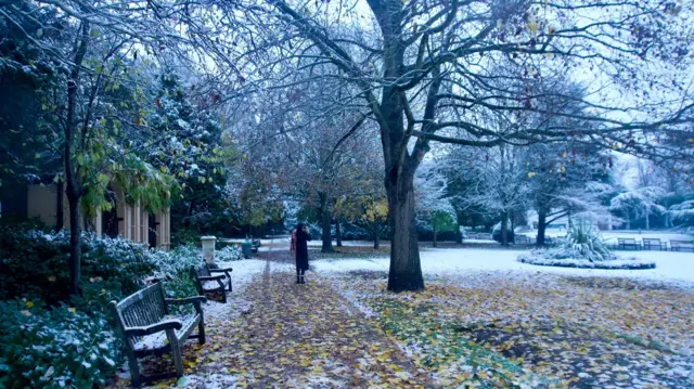 Benches at the side of a park with snow dusting the ground as a person walks away from the camera along a path next to trees