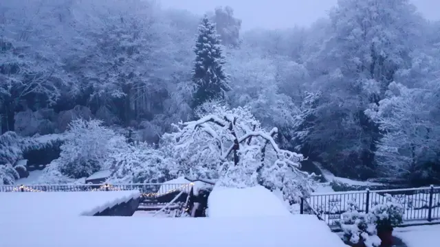 Picture of snow covered garden and trees in Flintshire