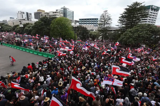 A birds-eye-view of crowds at the New Zealand parliament