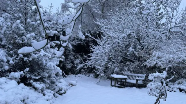 A snow-covered garden with a bench and trees