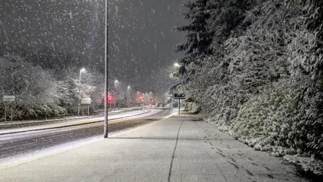 A snowy street with snow on the pavement and the trees beside the road