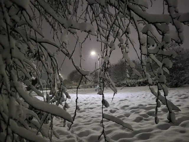 An image of snow taken through a tree branch in Stanton Hill