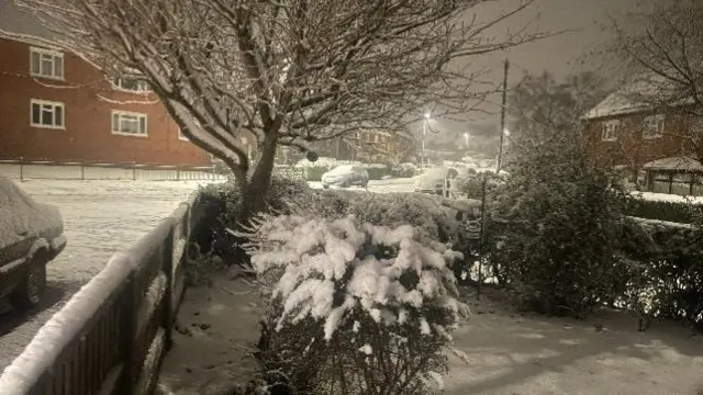 Snow in a garden and on a street behind it