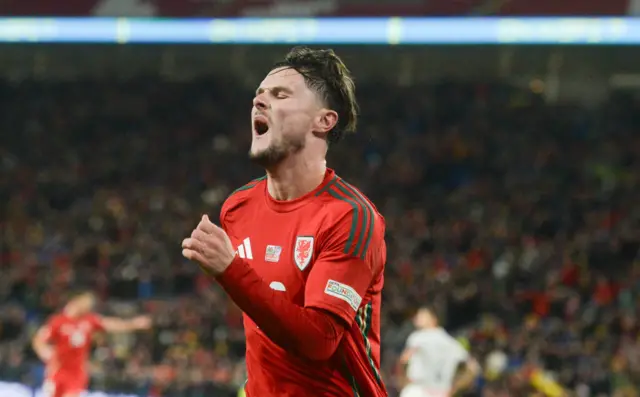 Wales forward Liam Cullen celebrates