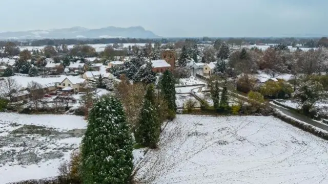 A snowy landscape with snow covering fields and tall trees