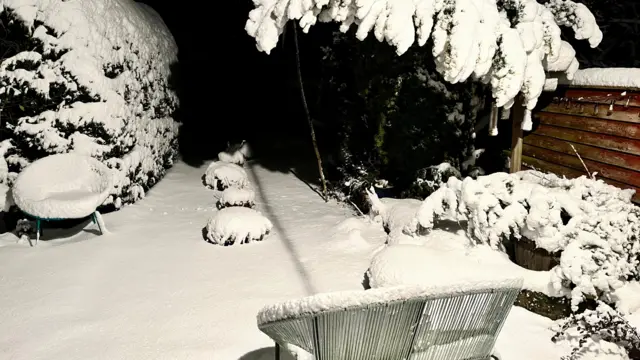 Heavy snow in a back garden