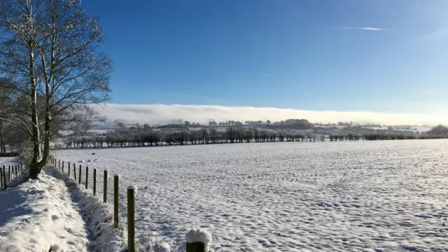 A snowy field with trees in the distance and a deep blue sky above.