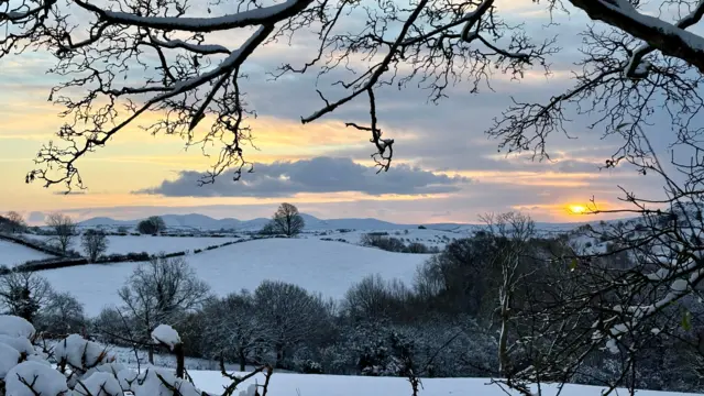 A snowy scene with hills and trees