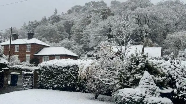 Snow on trees, bushes and a red brick house