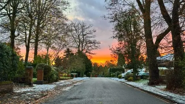 A street with some trees on either side and snow on the pavements