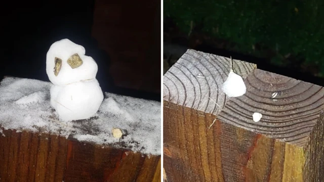 A snowman and a melted snowman