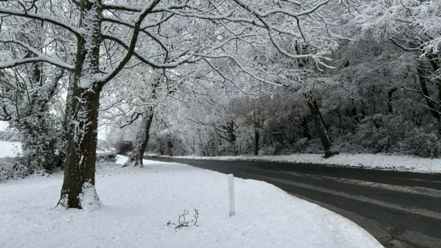 Heavy snow blankets a roadside in Somerset. Trees are covered in snow.