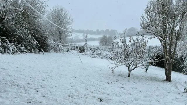 A snowy landscape scene of hills and trees