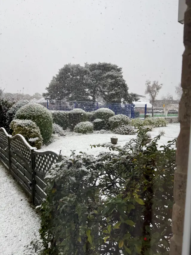 A garden scene covered in snow