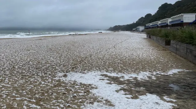 A light dusting of snow on a sandy beach. A grey sea can be seen in the background.