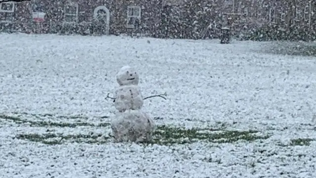 A small snowman built on some grass. It has stick arms and a smiley face. There are houses in the background.