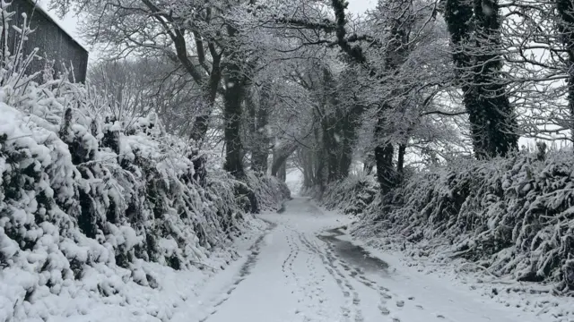 A snowy country lane at Warbstow in Cornwall. Snow has covered the hedges lining the road. Animal prints and footprint are in the snow covered ground.