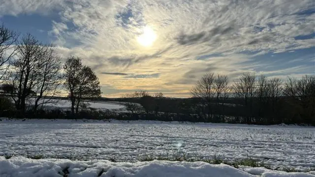 A field with a light layer of snow and trees and low sun in backgroud.