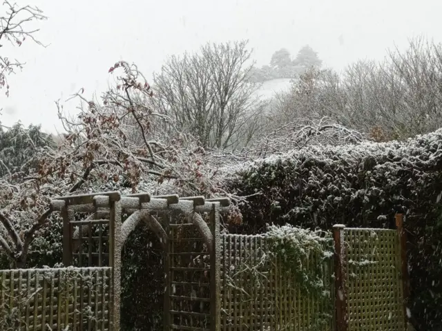 A snowy scene with the white stuff covering a hedge and fence