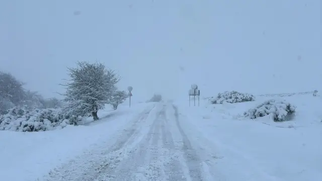 The photo shows a snow-covered road in Minions, Cornwall. The road has light tyre tracks running through it with snow covered trees and hedges either side.