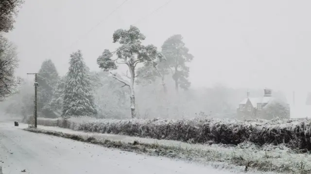 Almost whiteout conditions in Perth. Snow covers a road, a hedgerow and trees. There is also a house amid the snowy scene.