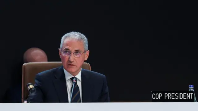 COP29 President Mukhtar Babayev holds a hammer as he attends a plenary meeting, during the COP29 United Nations Climate Change Conference, in Baku, Azerbaijan November 23, 2024.