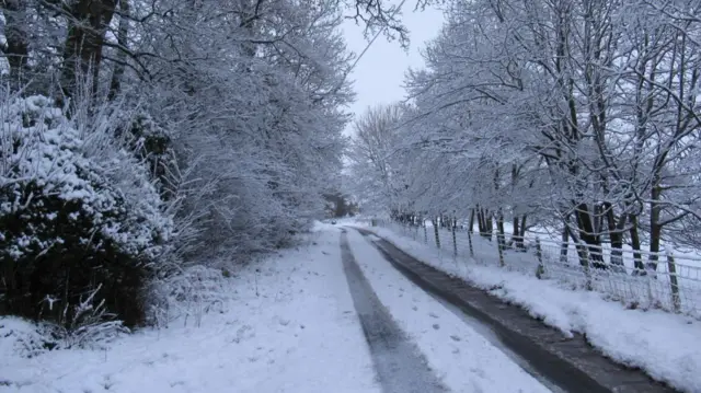 A road with tracks in the snow. The road is lined by trees which are covered in snow.