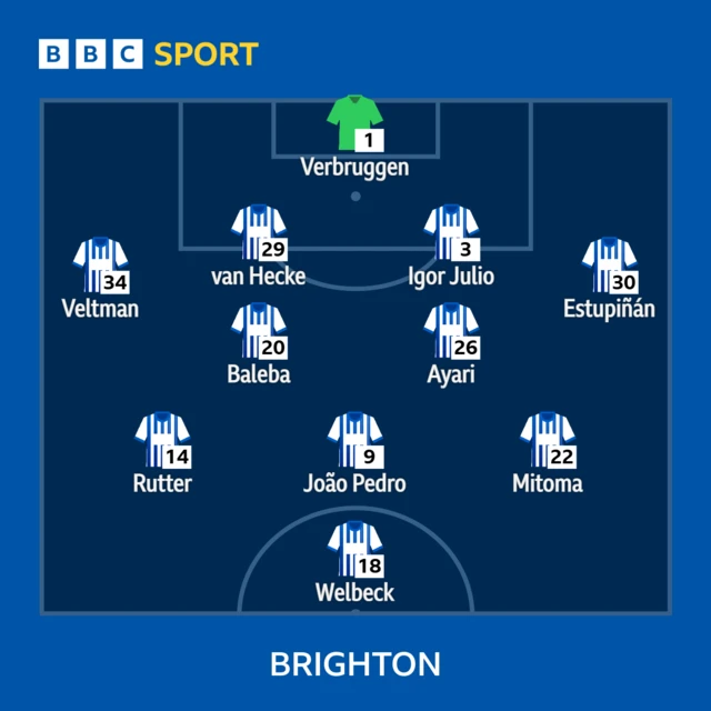 Brighton line-up graphic