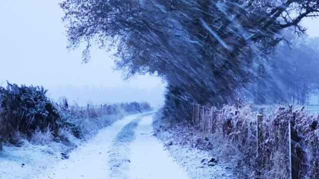 Snow blows across a track, which is covered in snow. There is a hedge row and trees.