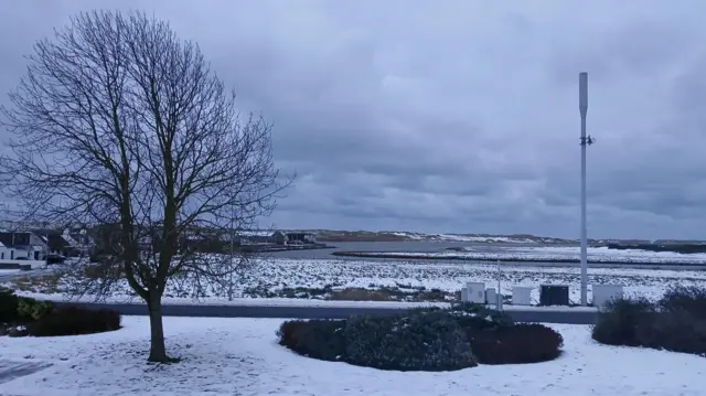 Snow covers an area of grass and a field beyond. There is a tree and clumps of bushes.