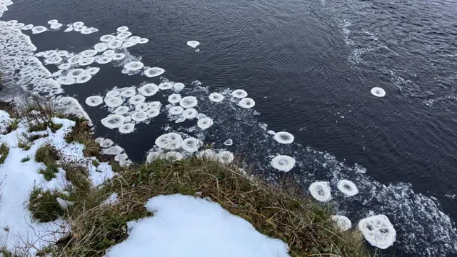 Pancake-shaped ice floats down a river. There is snow of the grassy riverbank.