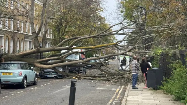 A broken tree covers the width of a residential street in London, with people stood on the street to see the damage