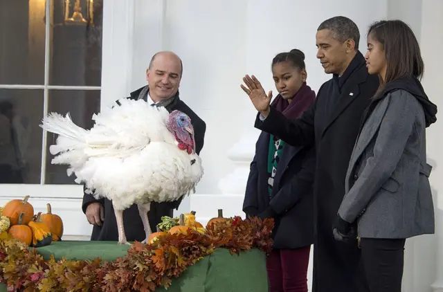 US President Barack Obama (2nd R) pardons the 2013 National Thanksgiving Turkey "Popcorn" with is daughters Sasha (3rd R) and Malia (R) during an event at the White House in Washington,