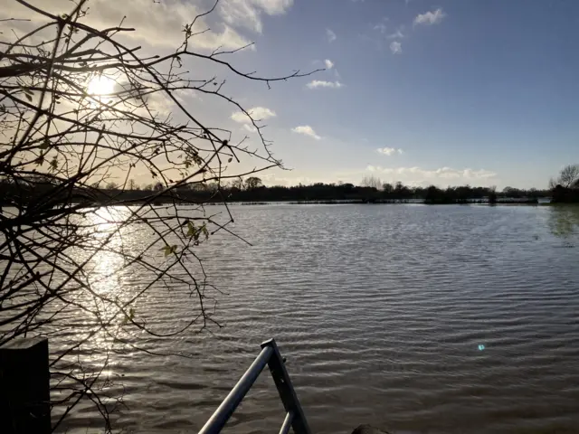 A field submerged in flood water