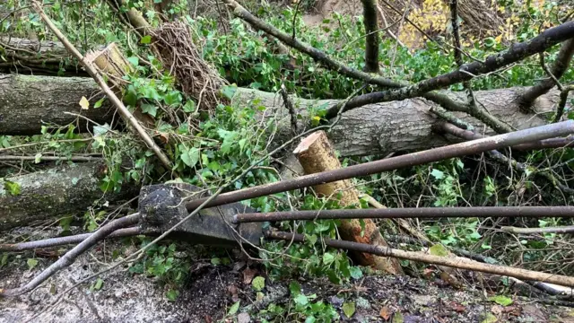 Pontblyddyn