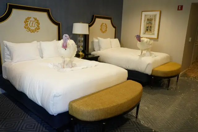 Two turkeys standing on beds in a hotel suite